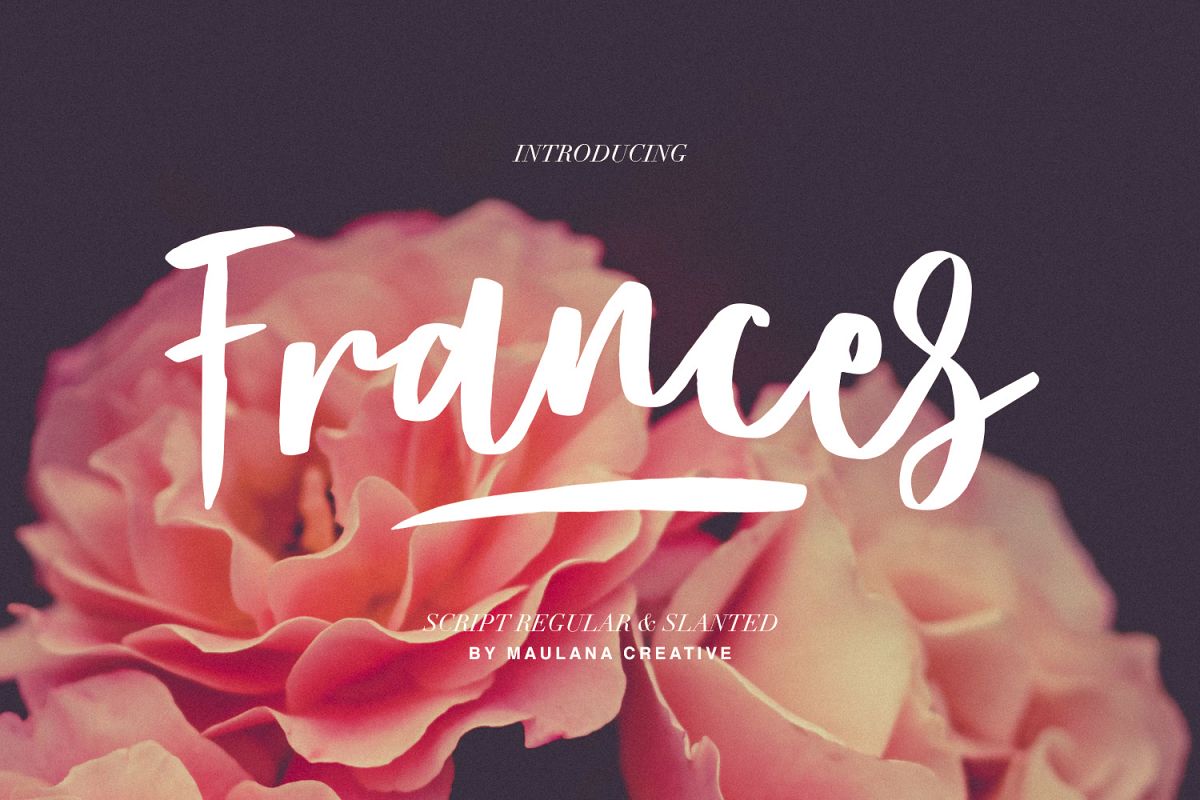 Frances Modern Font example image 1