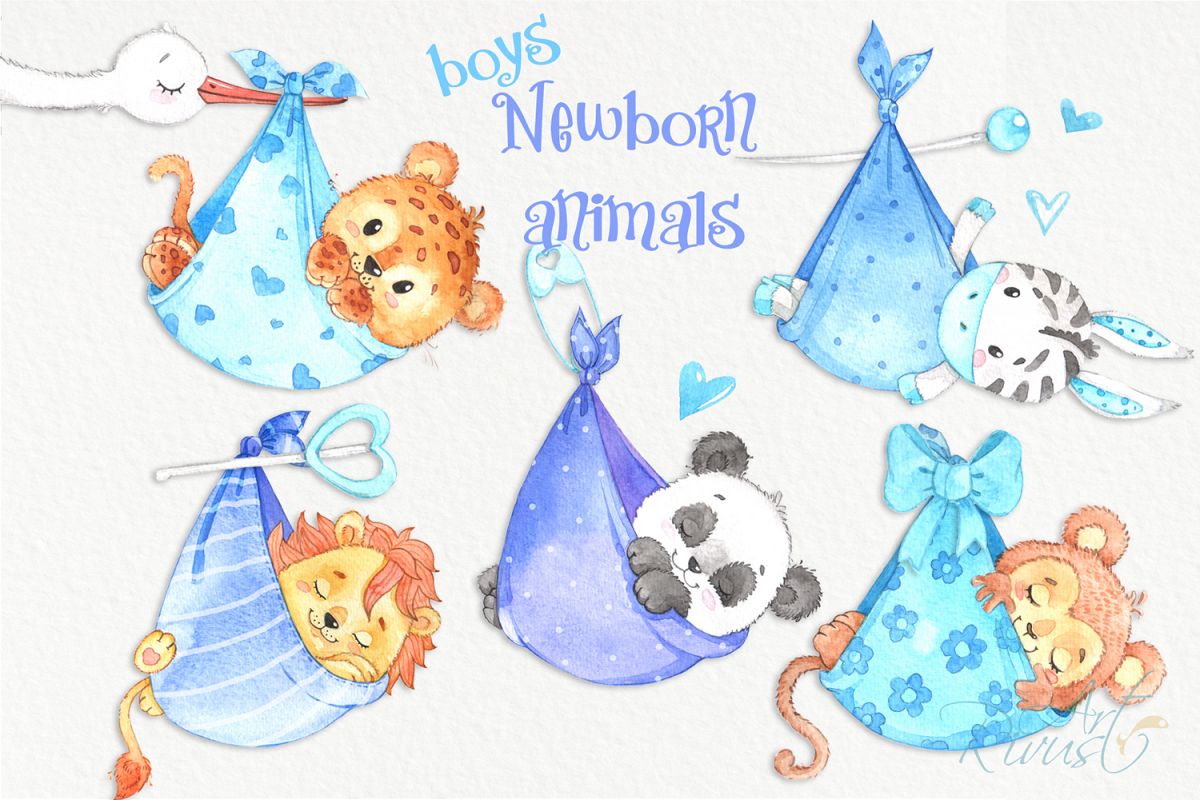 It's a boy Newborn animals clipart PNG download. African Saf example image 1