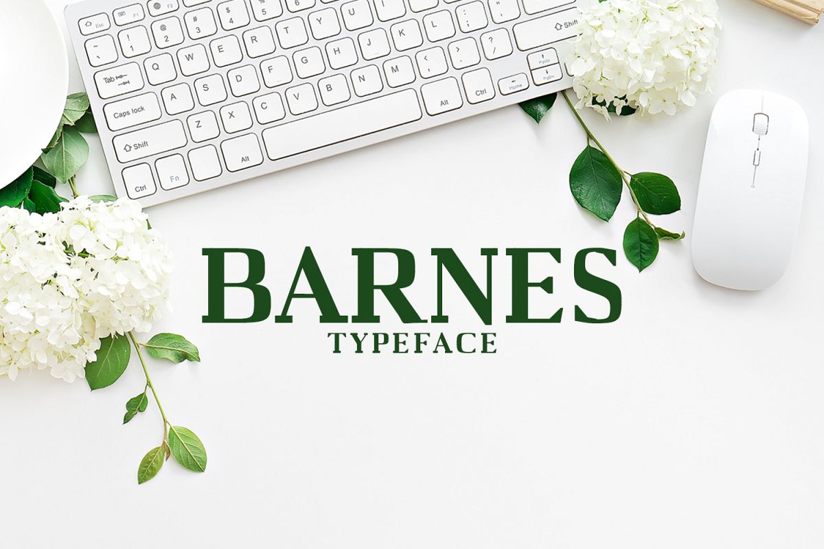 Barnes Serif Typeface example image 1