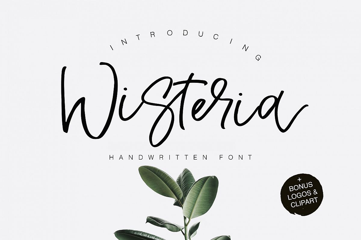 Wisteria Script example image 1