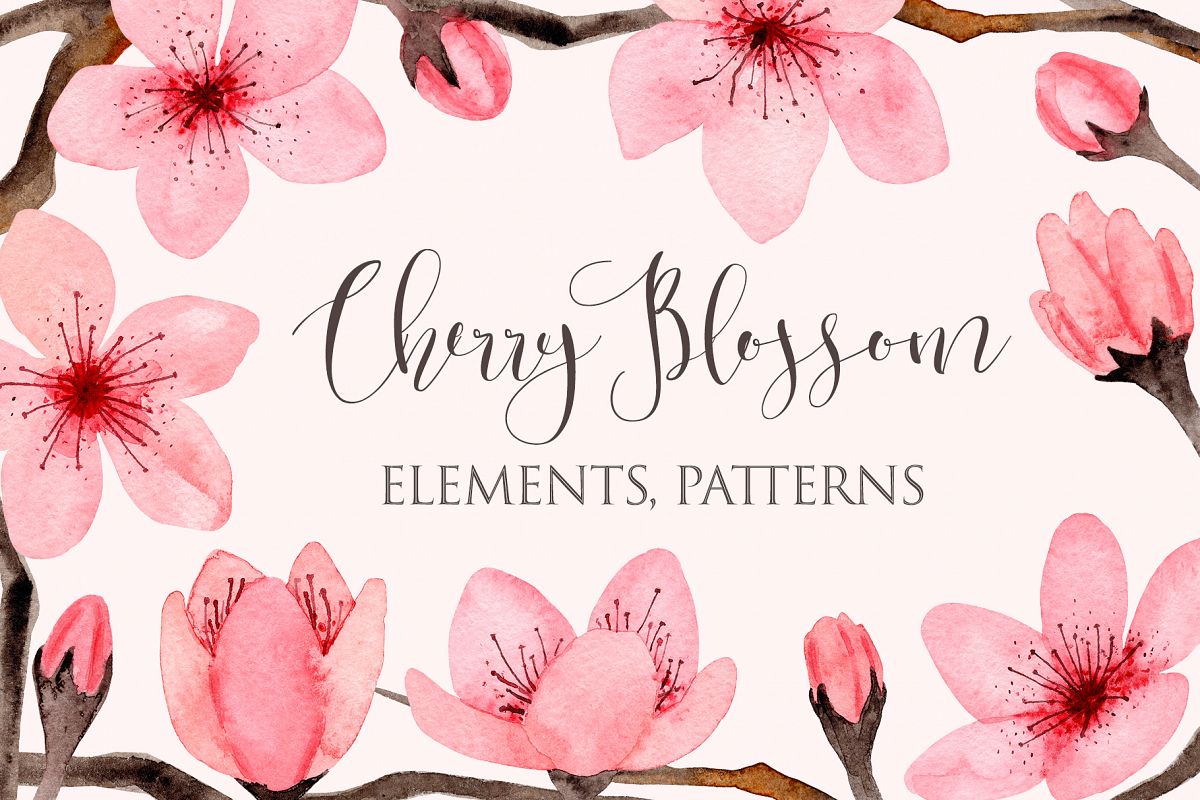 Watercolor Cherry Blossom. Patterns example image 1