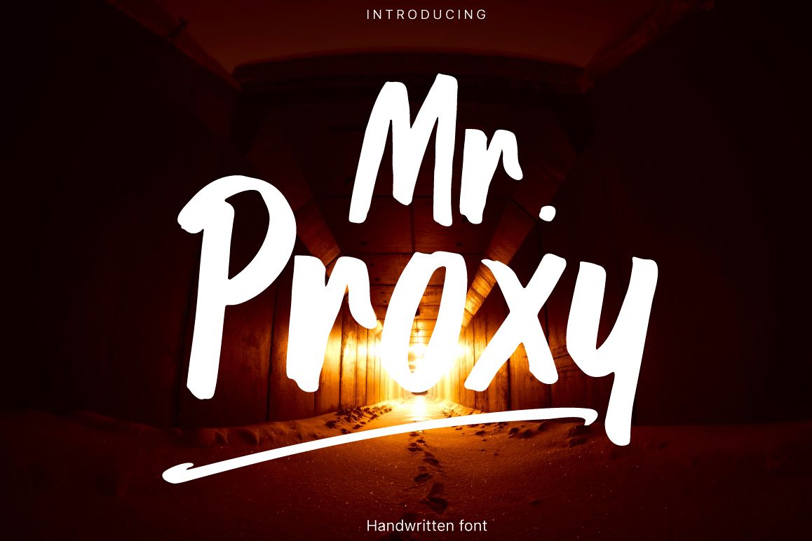 Mr. Proxy example image 1
