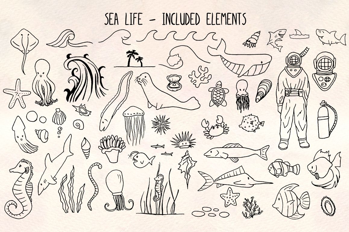 Sea Animals - 60 Deep Ocean and Fish Vector Bundle example image 1