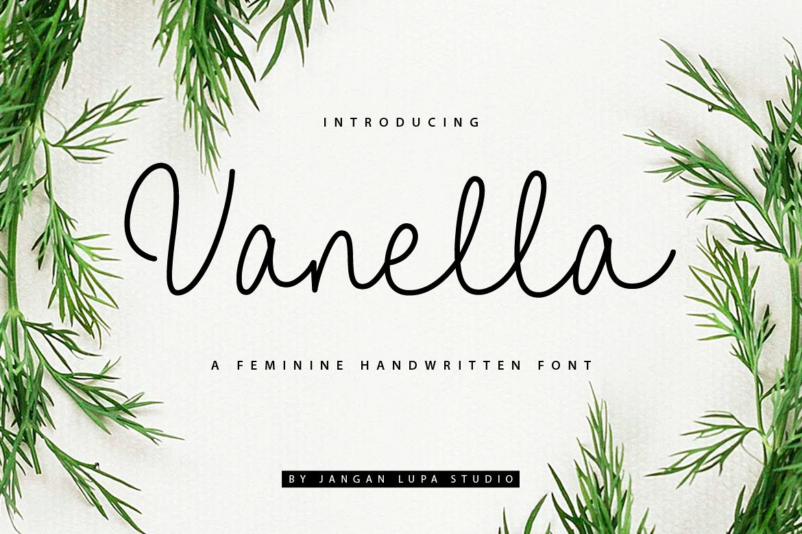Vanella example image 1