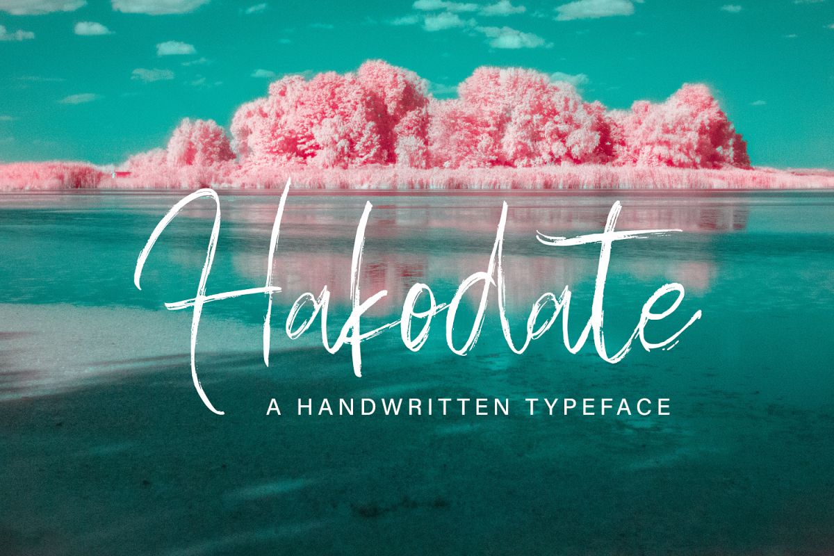 Hakodate - Handbrush Typeface example image 1