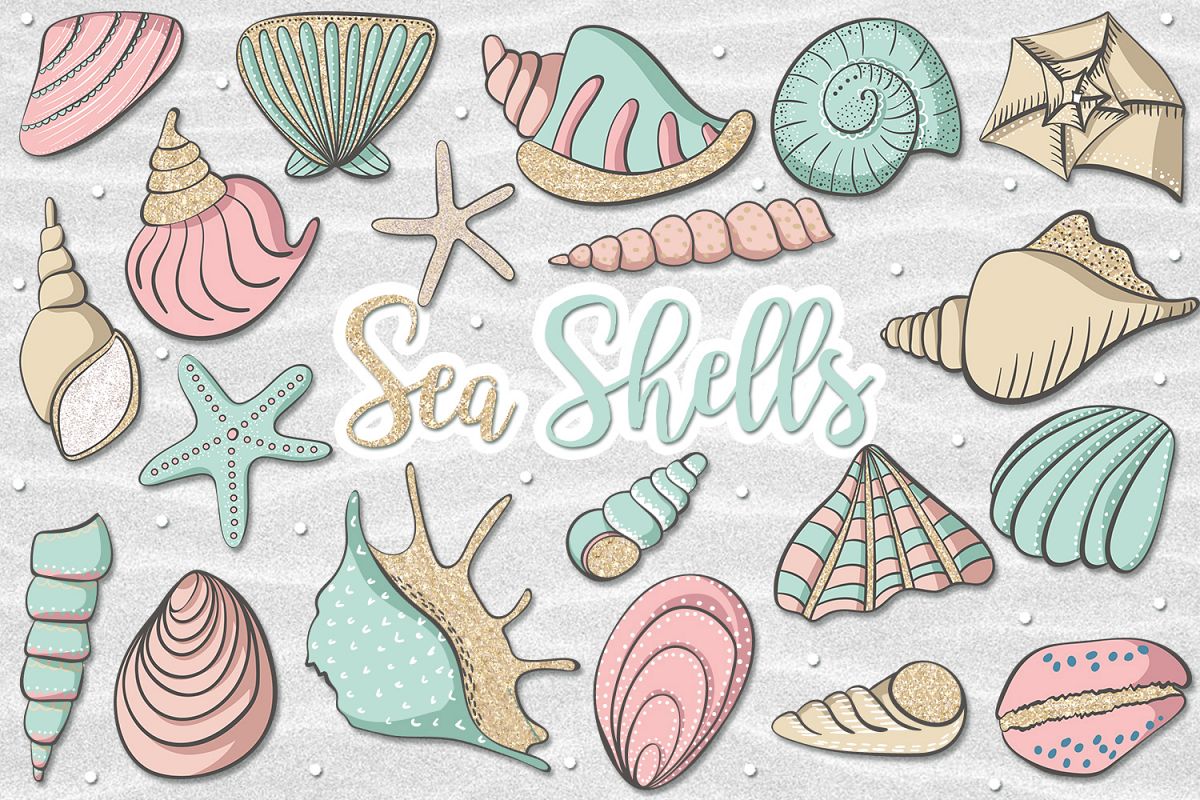 Sea Shells example image 1