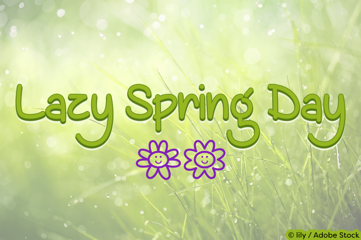 Lazy Spring Day example image 1