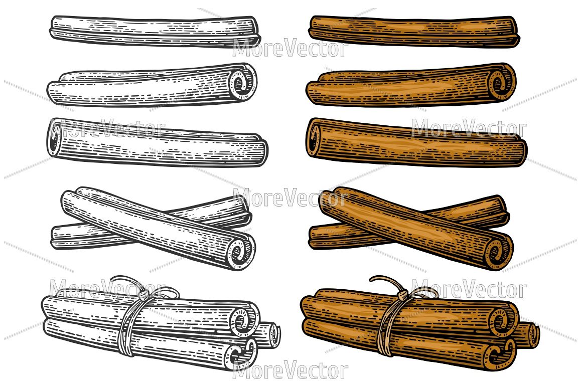 Cinnamon stick set. Single and bunch tied by rope. Engraving example image 1