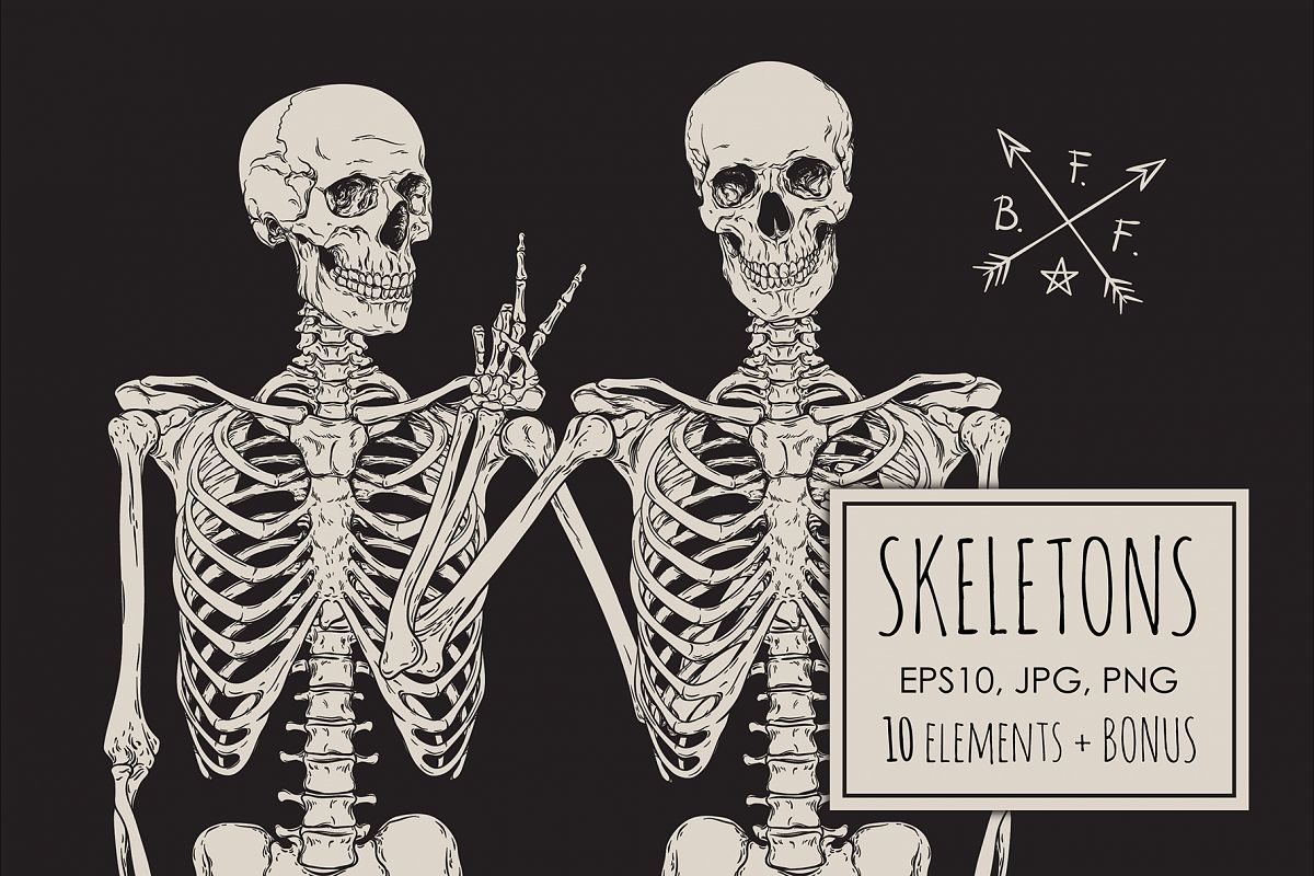 Skeletons example image 1
