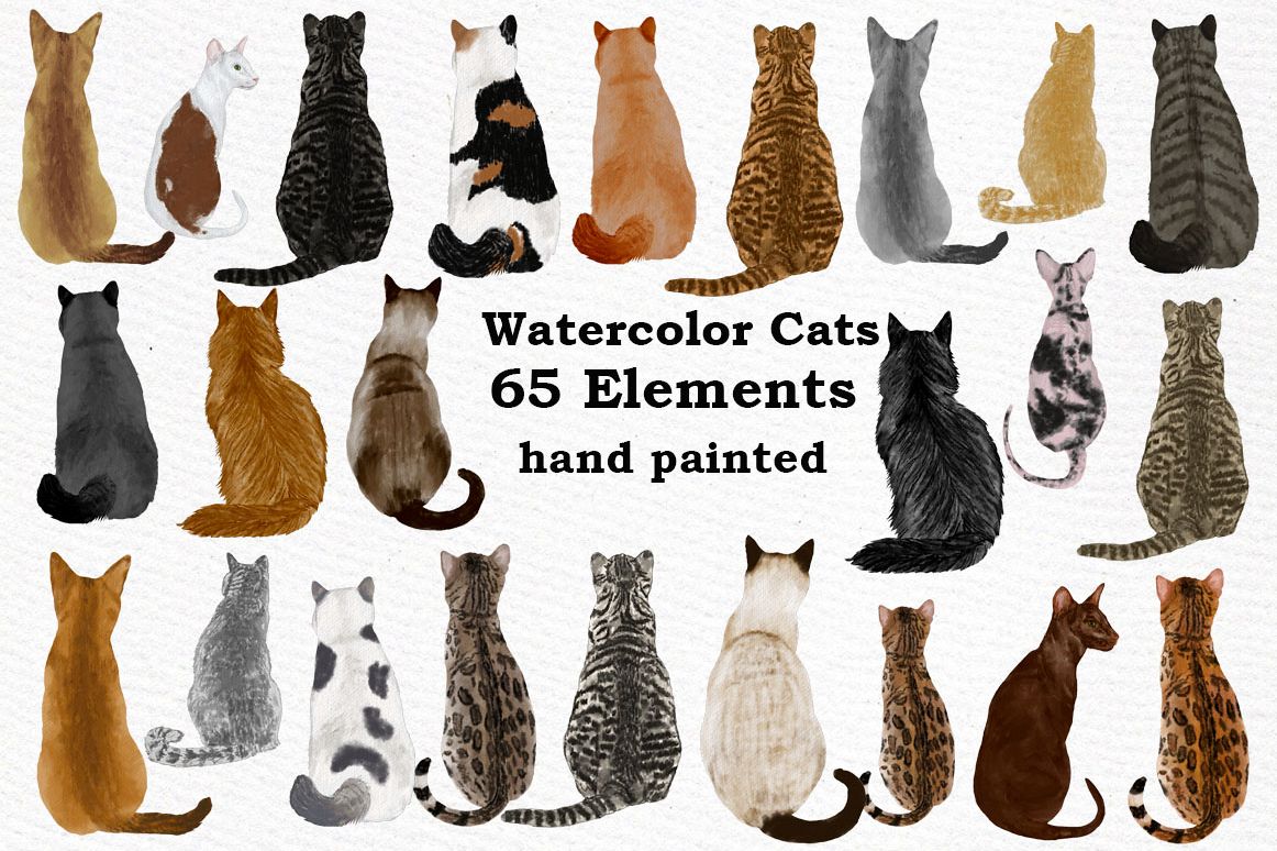 Cat Clipart, WATERCOLOR CATS, Cat breeds,Pet clipart, kitten example image 1