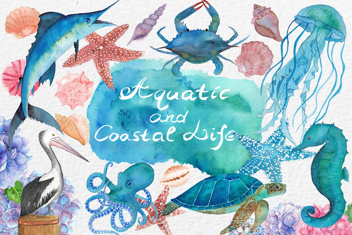 Watercolor Aquatic and Coastal Set example image 1