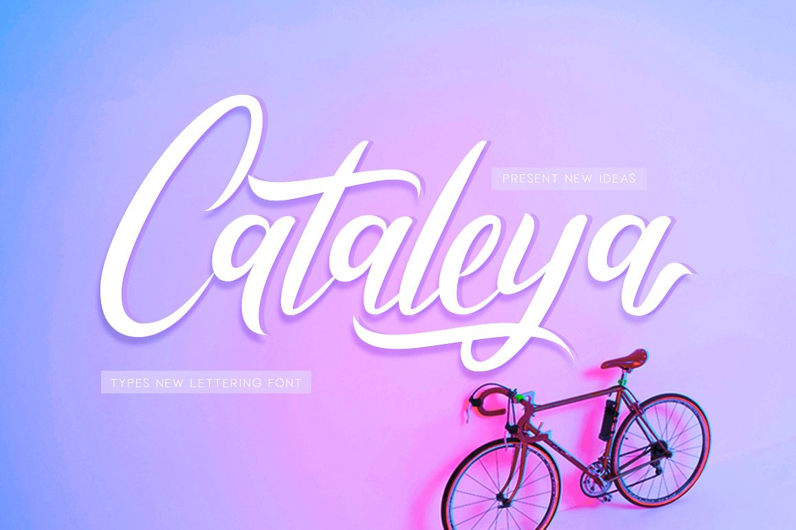 Cataleya example image 1