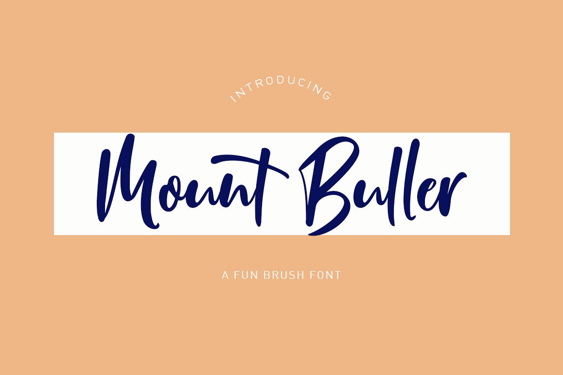 Mount Buller example image 1