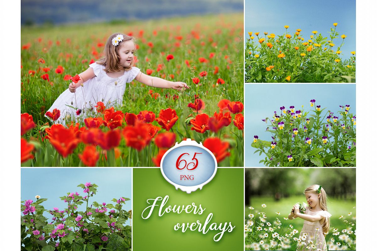 65 Flower Photo Overlays example image 1