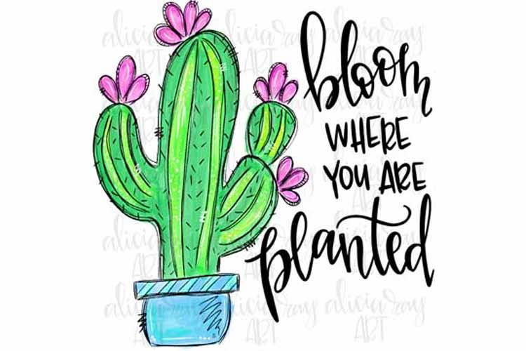 Bloom Where you are Planted Cactus example image 1