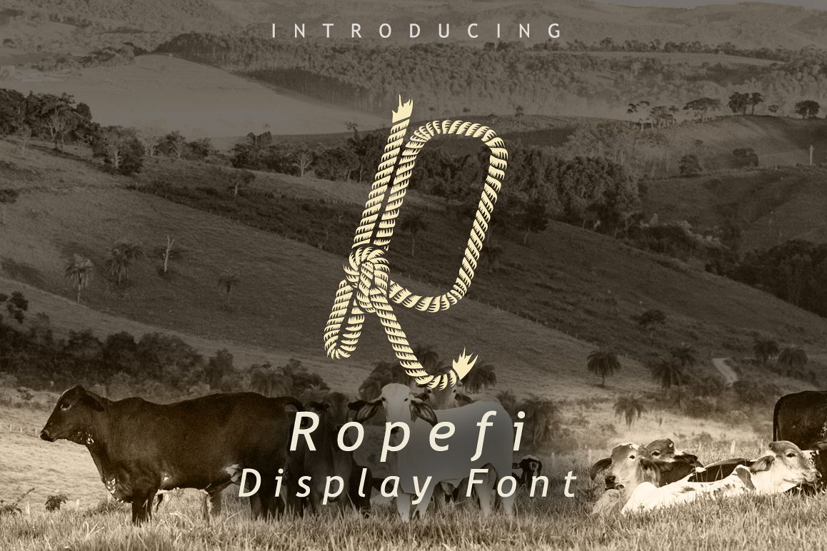 Ropefi Font example image 1