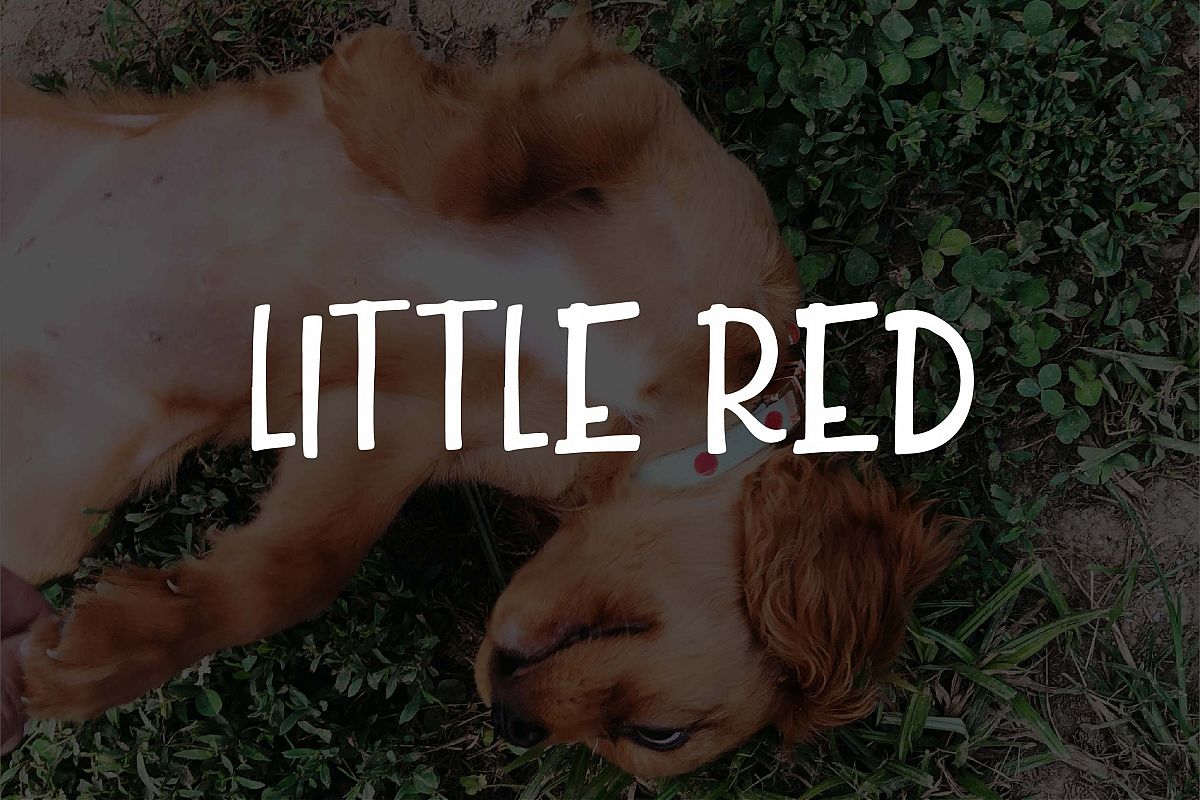 Little Red example image 1