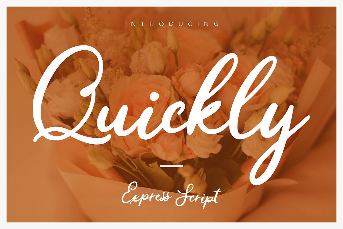 Quickly Express Script example image 1