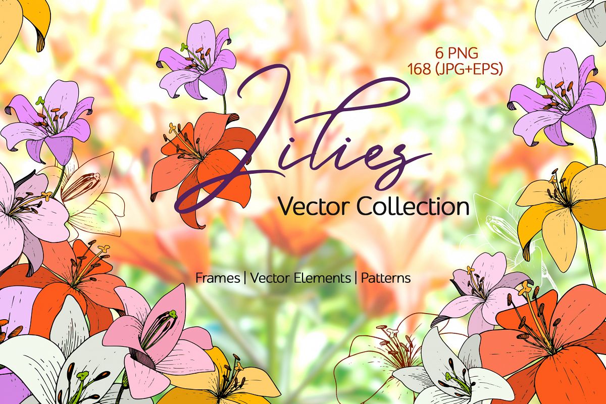 Lilies Vector Collection example image 1