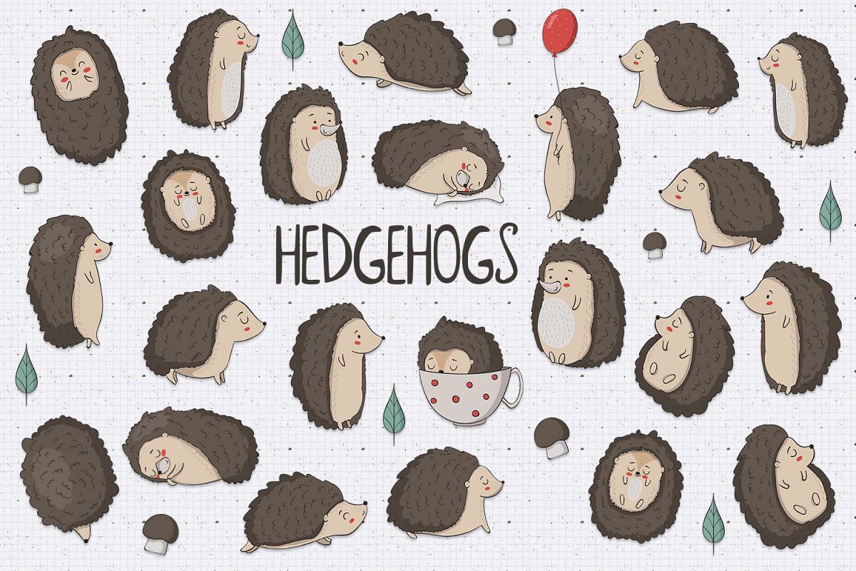 Hedgehogs example image 1