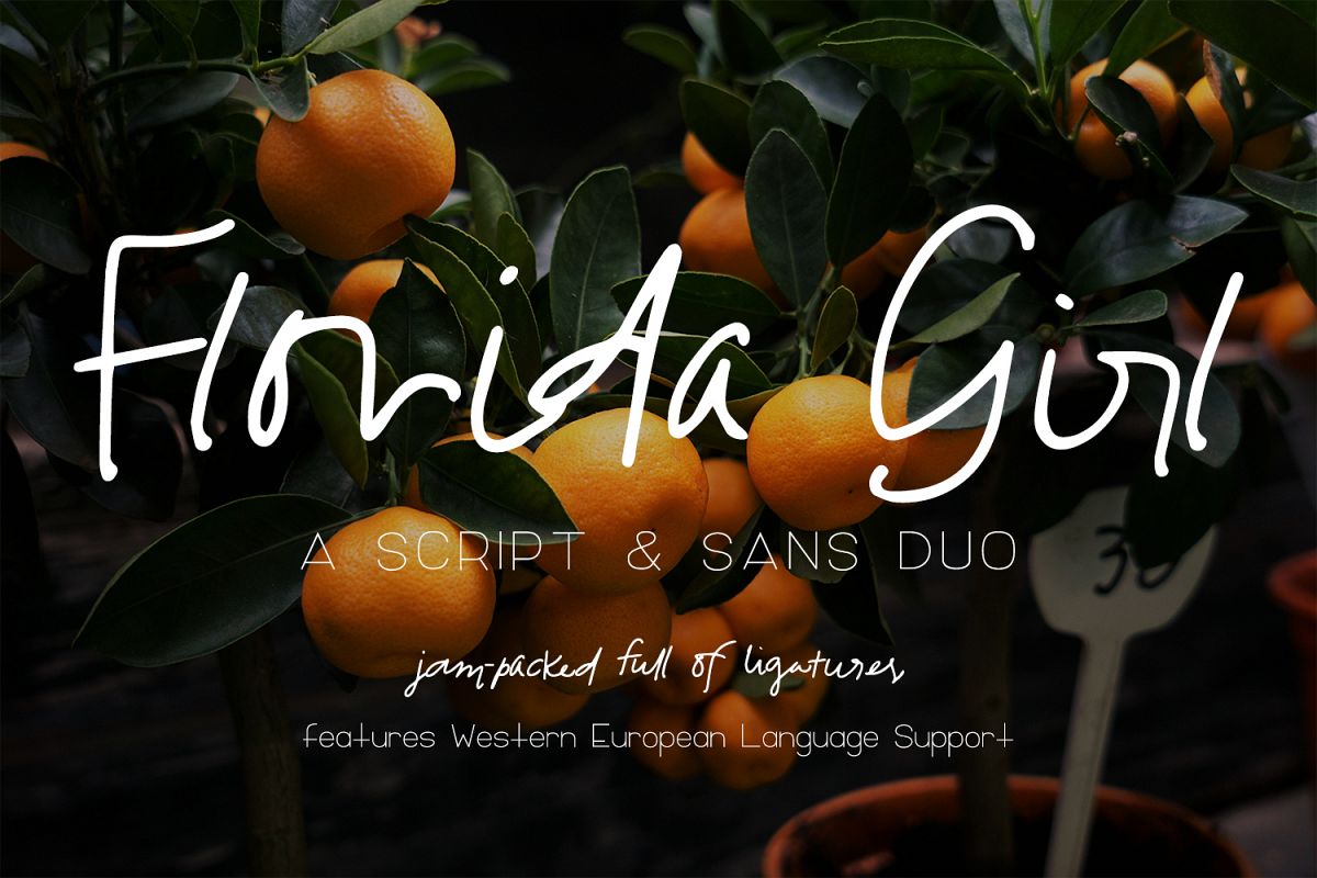 Florida Girl Script & Sans example image 1