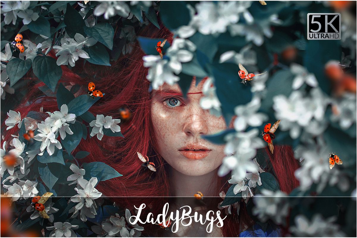5K Ladybugs Overlays example image 1