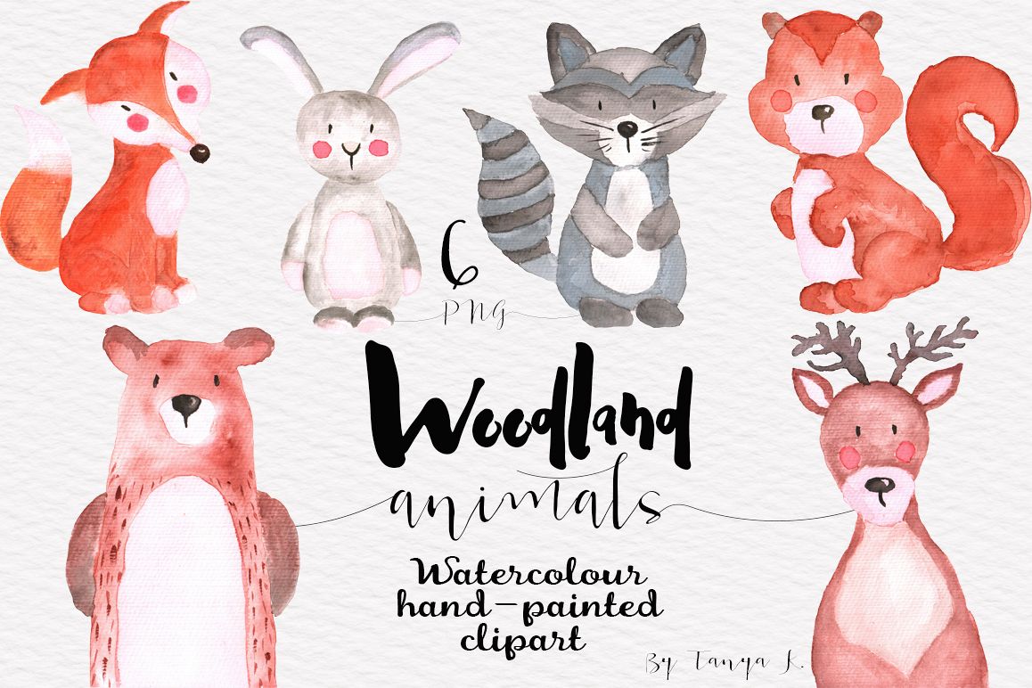 Woodland Animals Watercolor Set example image 1
