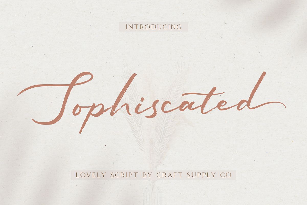 Sophiscated - A Lovely Script Font example image 1