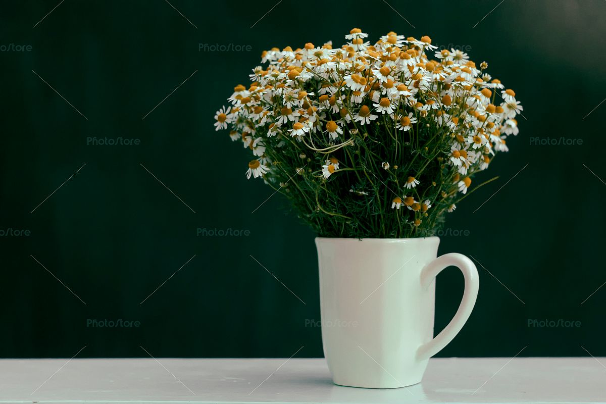 Bouquet of chamomiles in a cup example image 1