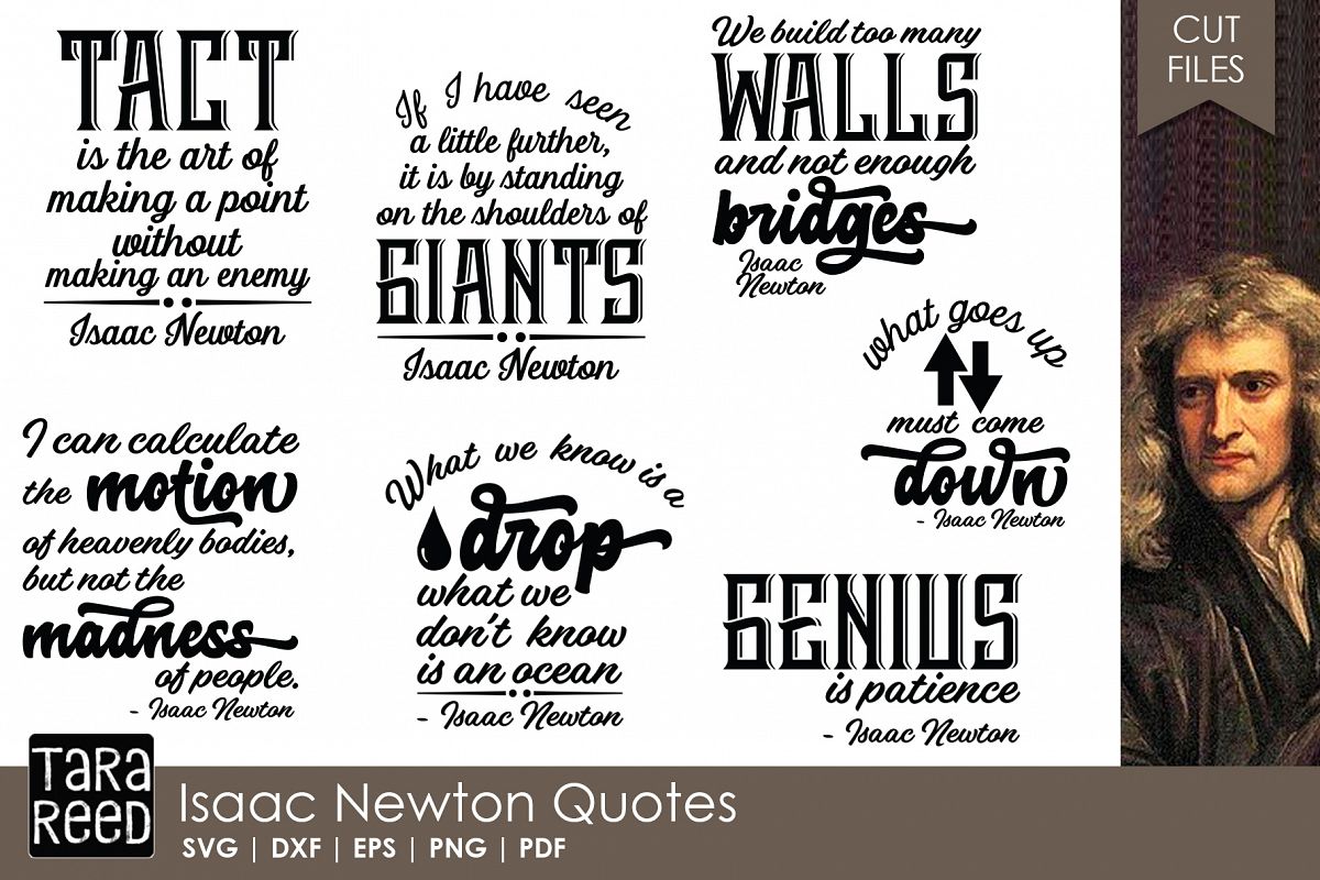 Isaac Newton Quotes - Quote SVG and Cut Files for Crafters example image 1