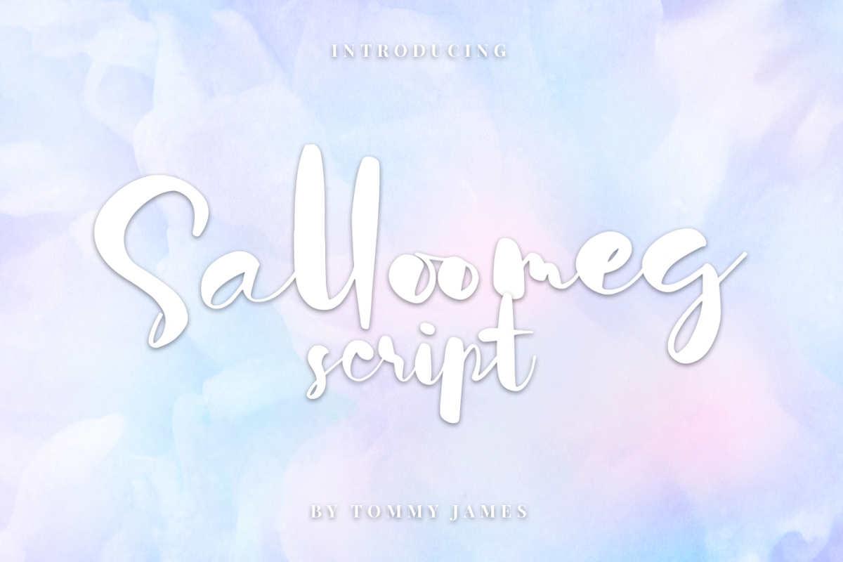 Salloomeg script example image 1