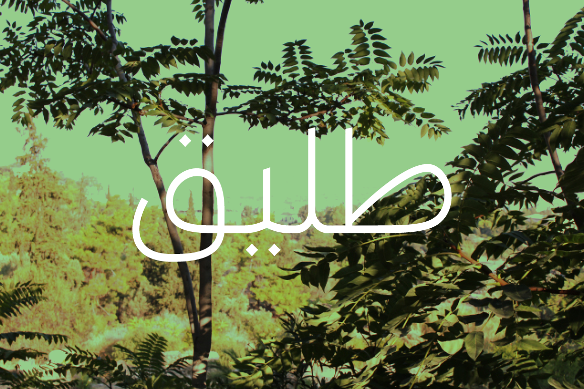 Taleeq - Arabic Typeface example image 1