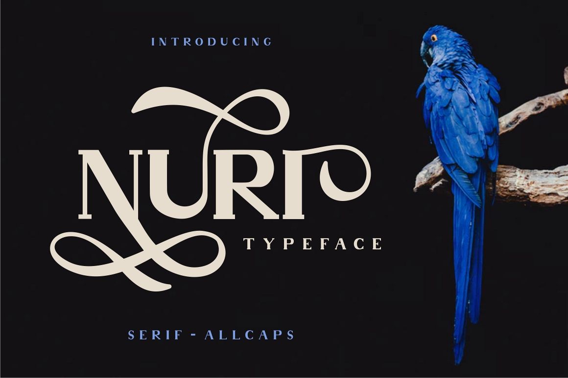 Nuri Typeface example image 1
