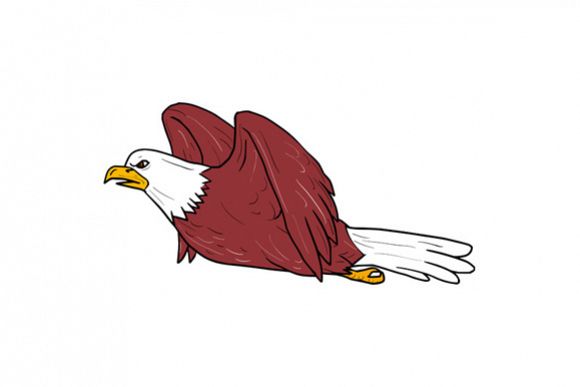 Bald Eagle Flying Cartoon example image 1