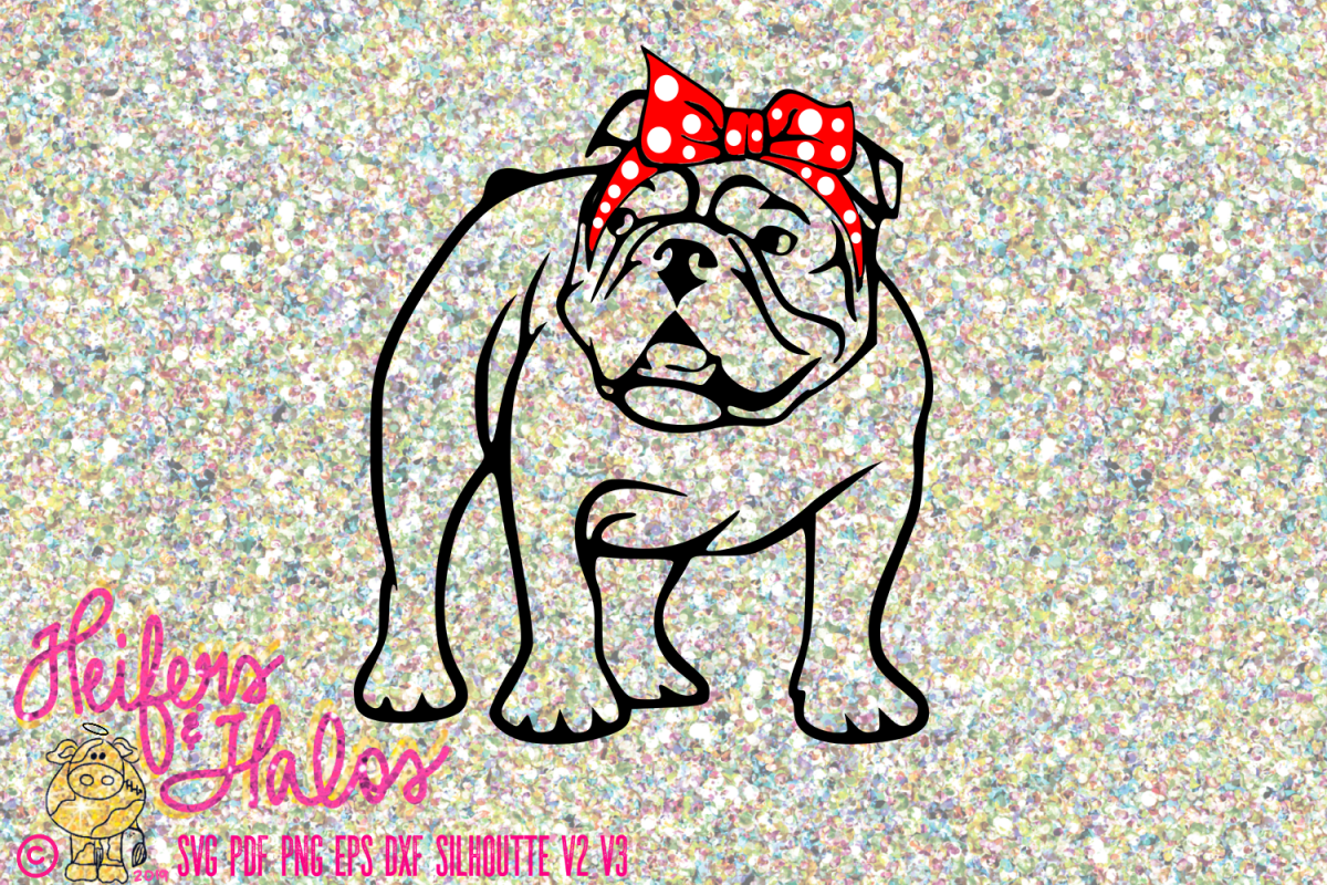 English Bulldog Bandana example image 1