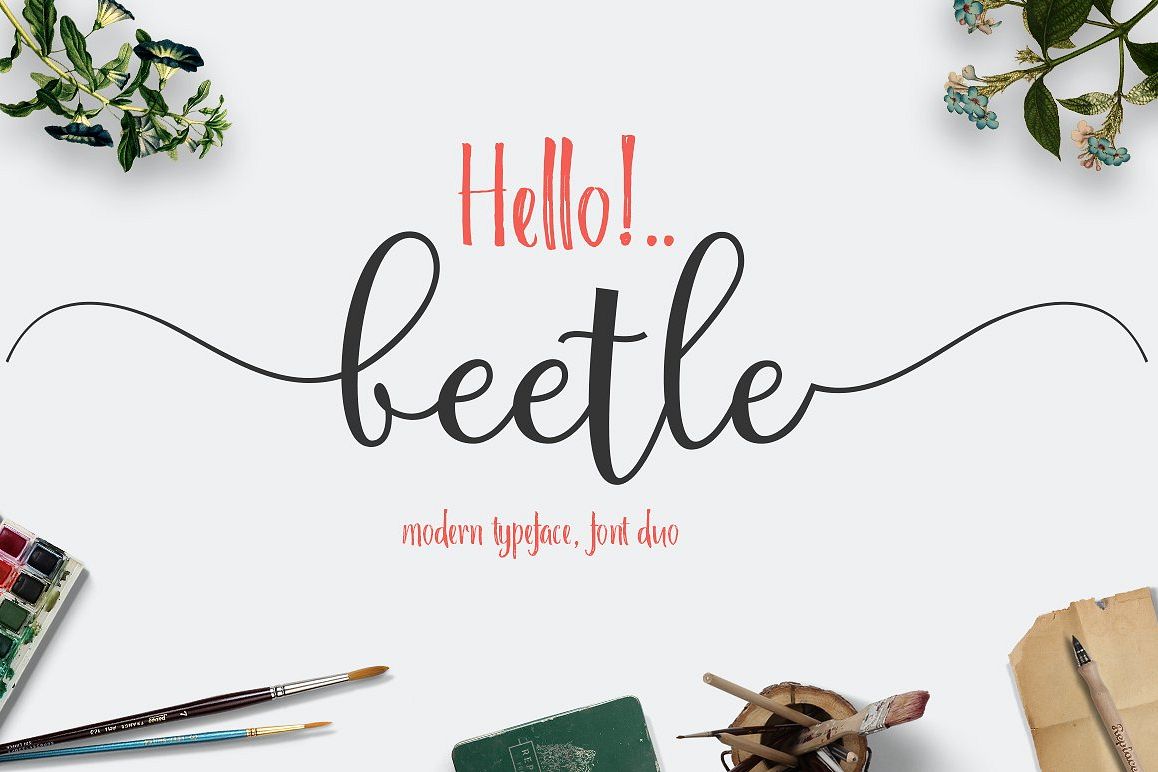 Beettle FontDuo example image 1