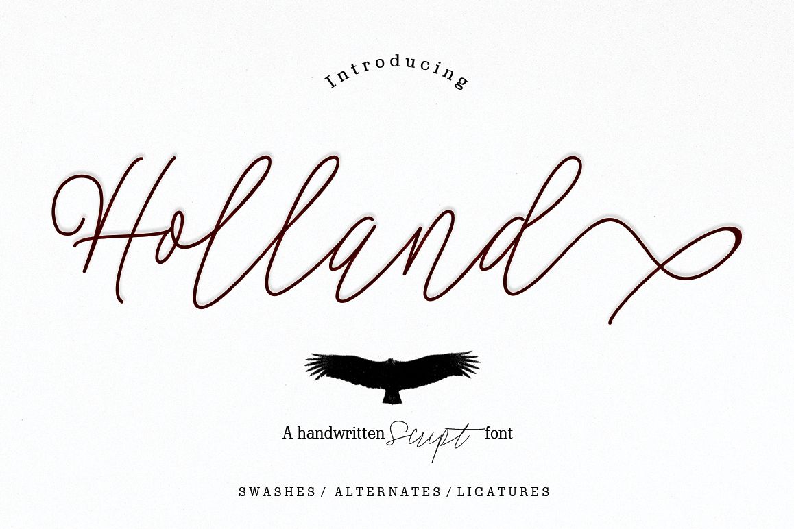 Holland example image 1