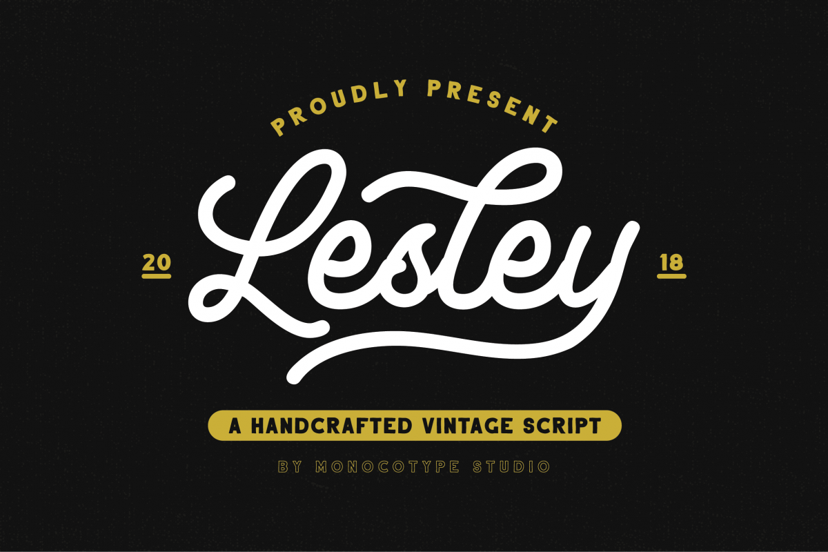 Lesley - Monoline Script Font example image 1