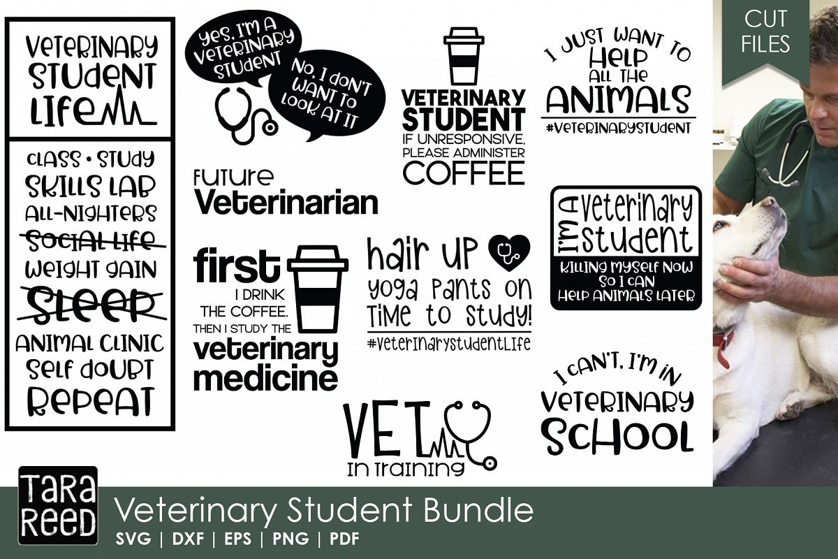 Veterinary Student SVG and Cut Files for Crafters example image 1