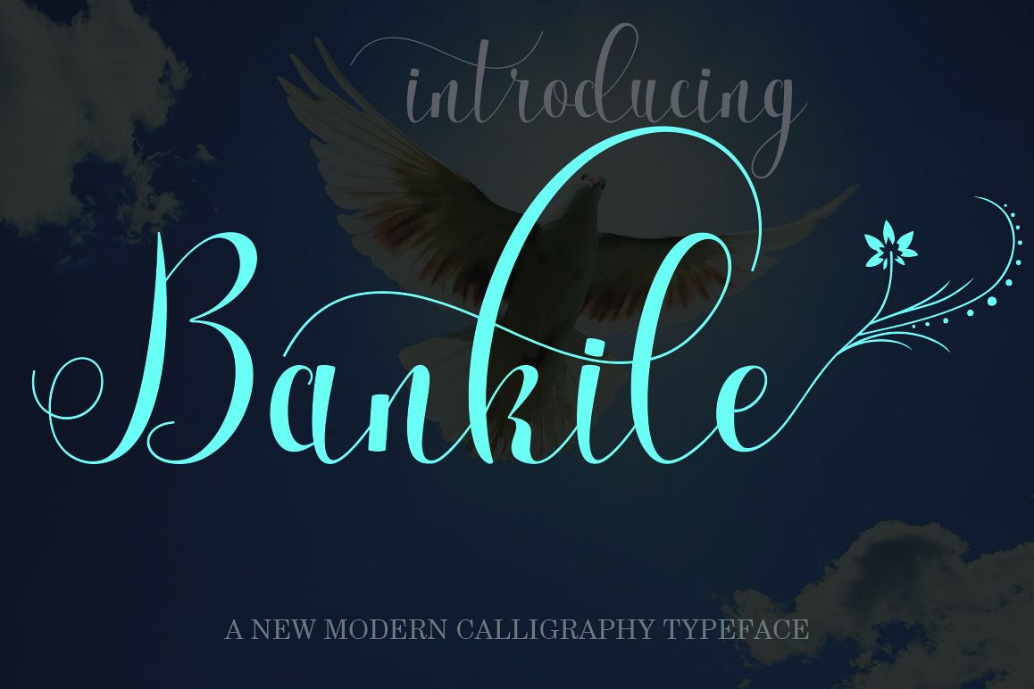 Bankile example image 1