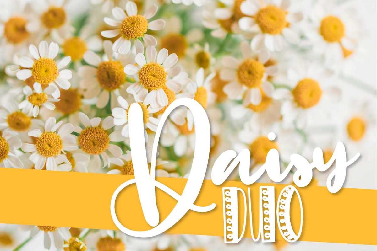 CLN- Daisy Duo - A Happy Font Pair Perfect For Spring! example image 1