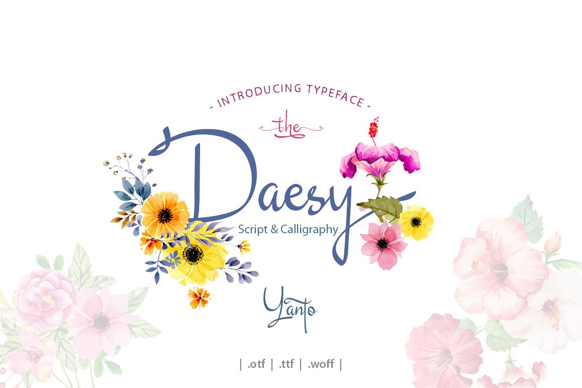Daesy Script Challigrapy Font example image 1
