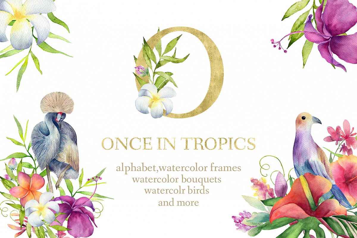 ONCE IN TROPICS example image 1