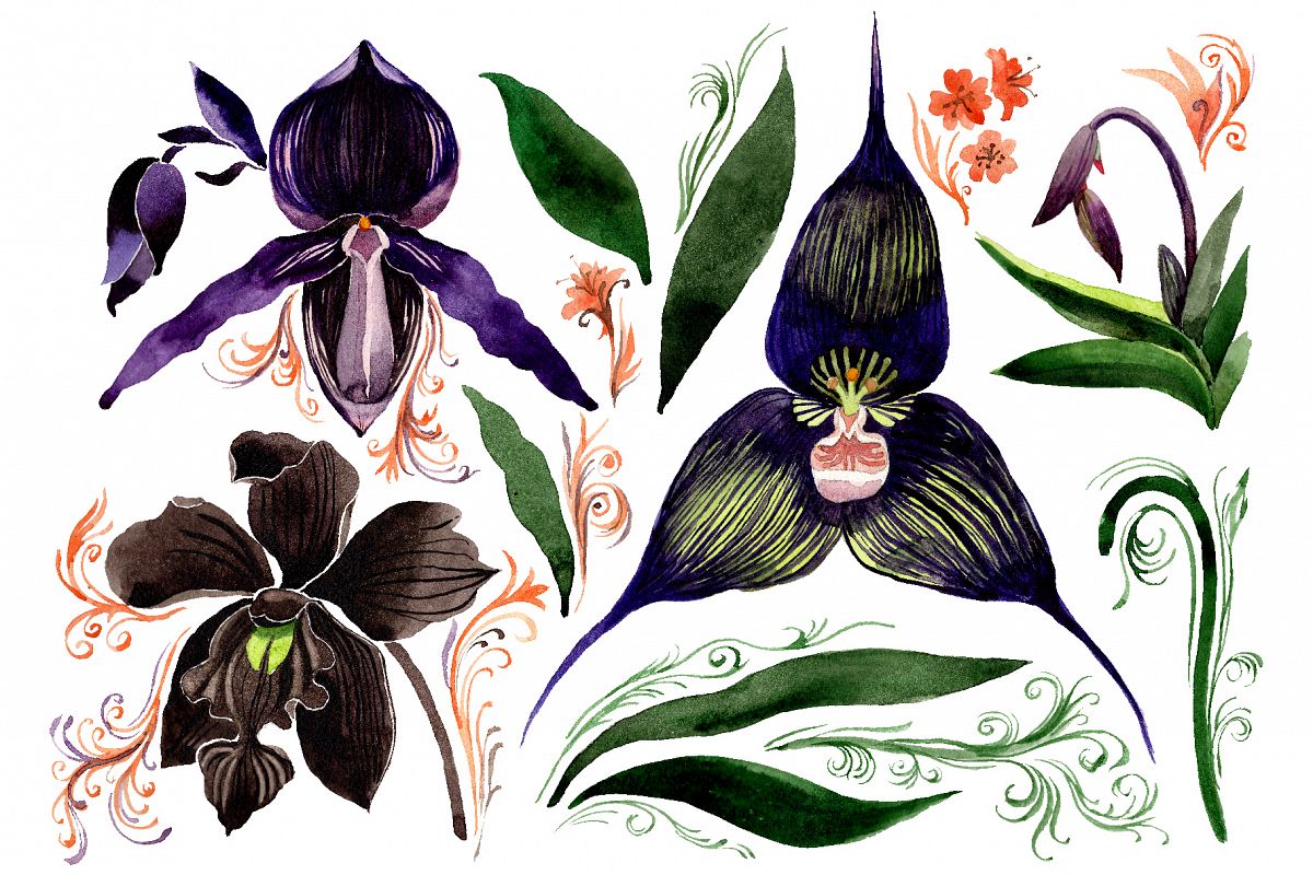 Orchid black Watercolor png example image 1
