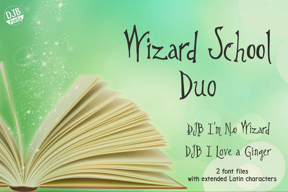 Wizard School Duo example image 1