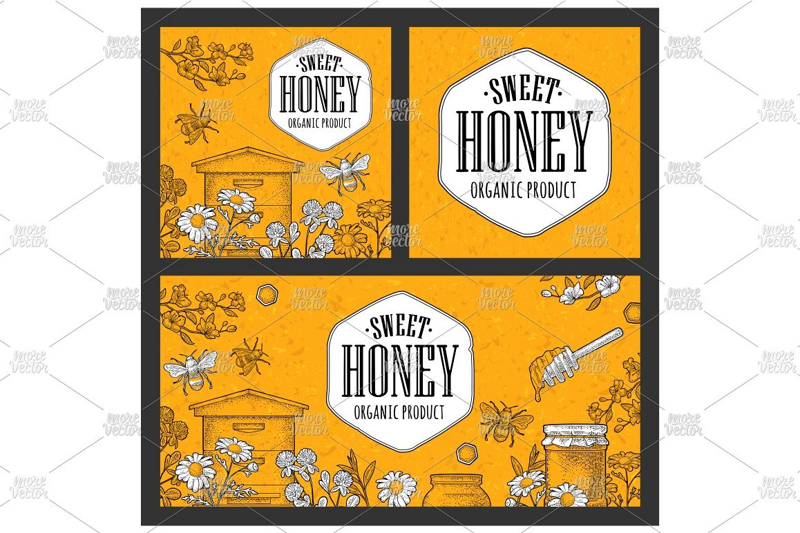 Horizontal and square posters honey Vector engraving example image 1