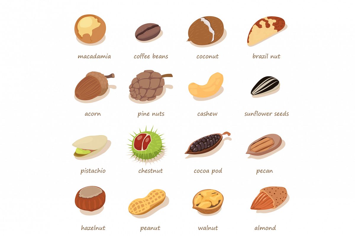 Nuts and seeds icons set, isometric style example image 1
