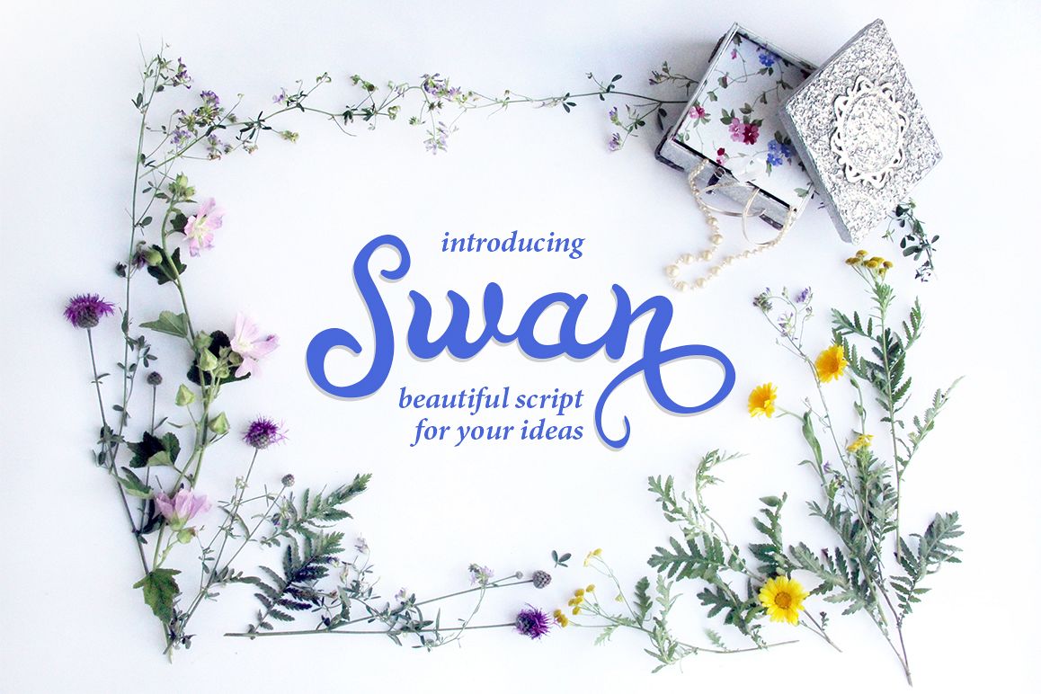 Swan example image 1