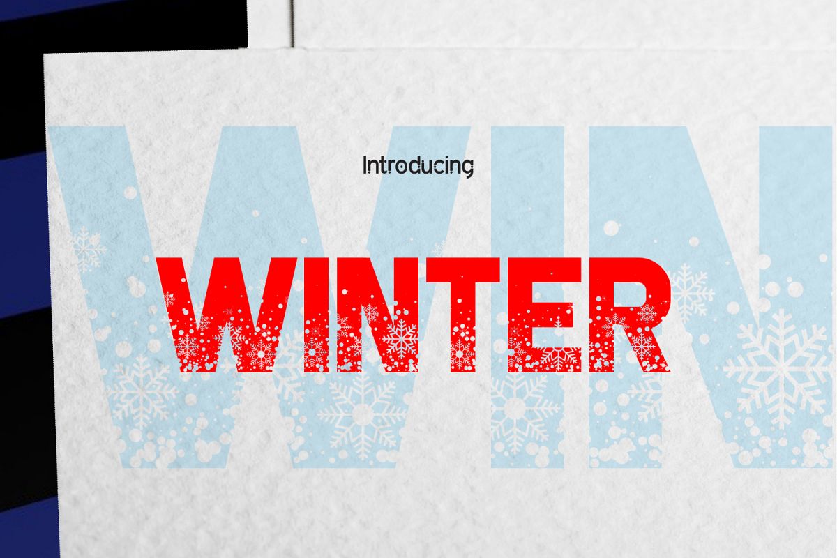 WINTER example image 1
