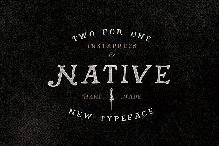 Native Instapress example image 1